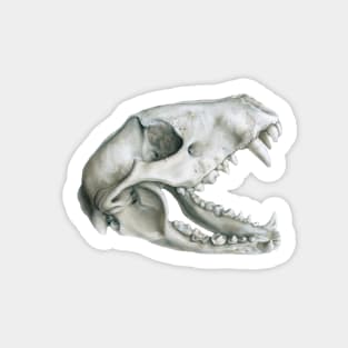 Raccoon Skull Sticker